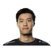 WildTurtle