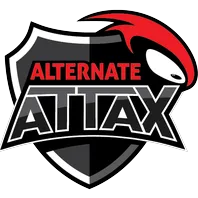 team-avatar