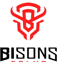 team-avatar