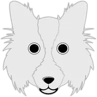 team-avatar