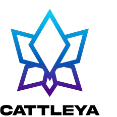 team-avatar