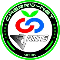 team-avatar