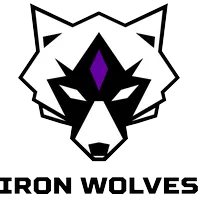 team-avatar