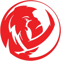 team-avatar