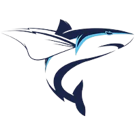 team-avatar