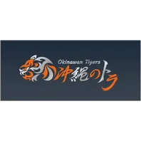team-avatar