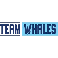 team-avatar