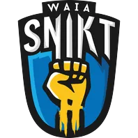 team-avatar